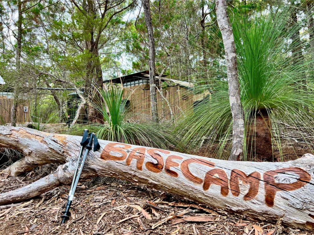 Basecamp at our coastal Eco-Comfort Camp |  <i>Michael Buggy</i>