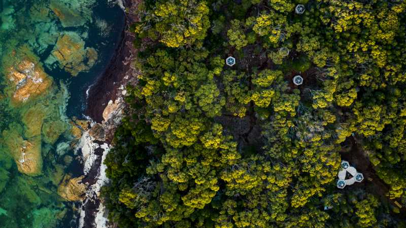 Our Flinders Island Eco-Comfort Camp is in a secluded setting with beach access - Women, Wild & Wise: Tasmania’s Flinders Island
with Suzan Muir, Australia