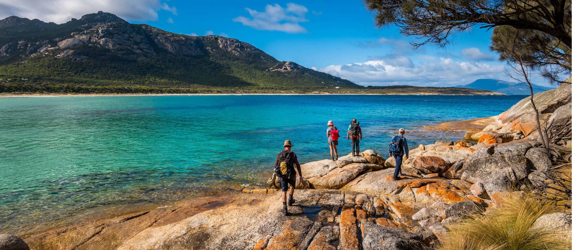 Flinders Island Walking Experience In Comfort