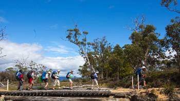 Explore the stunning Maria Island on this guided walk
