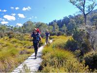 The Overland Track offers well maintained boardwalks to protect the fragile environment -  Photo: Chris Buykx