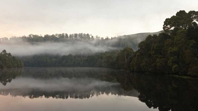 The Pieman River flows through the heart of the Tarkine | Peter Walton