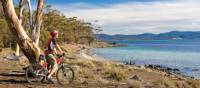 Cycling on Maria Island | Andrew Bain