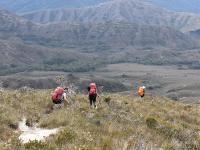 Descending the Ironbound Ranges on the remote South Coast Track -  Photo: Phil Wyndham