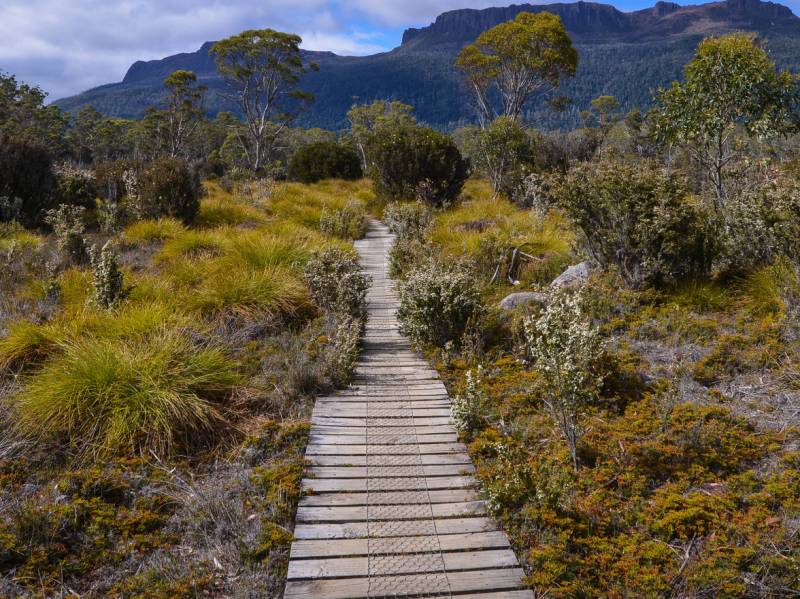 The Overland Track, Tasmania's most famous walk | Mark Whitelock