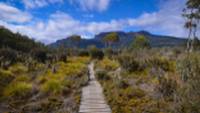 Trekking the spectacular Overland Track |  <i>Mark Whitelock</i>