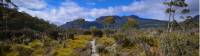 The Overland Track, Tasmania's most famous walk |  <i>Mark Whitelock</i>