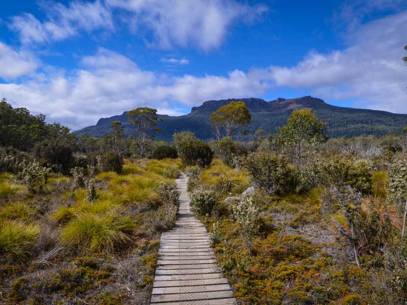 The Overland Track, Tasmania's most famous walk | Mark Whitelock