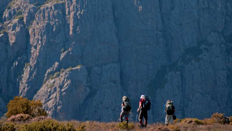 Trekkers in the Walls of Jerusalem National Park walking towards Mt Jerusalem | Don Fuchs
