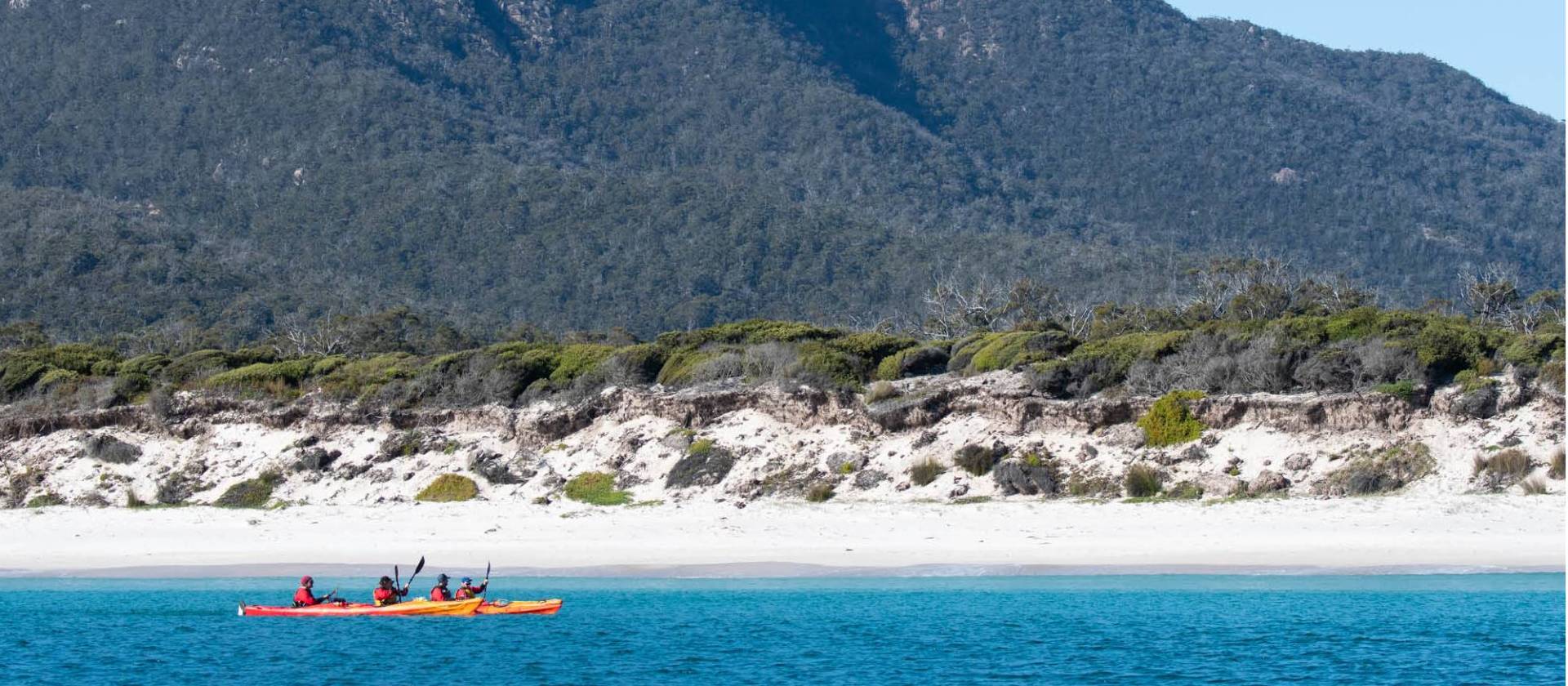 Peninsula Sea Kayak Expedition Sea Kayaking Tour Tasmania