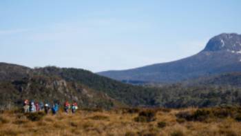 World-Expeditions-The-Overland-Track-2024-Matt-Horspool-116,Matt Horspool Trekking Tasmania's Overland Track
