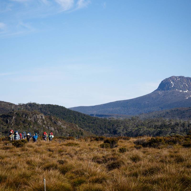Trekking Tasmania's Overland Track | Matt Horspool
