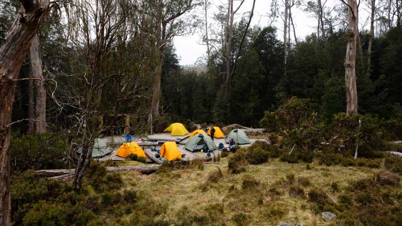 Every campsite is secluded on the Overland Track | Matt Horspool