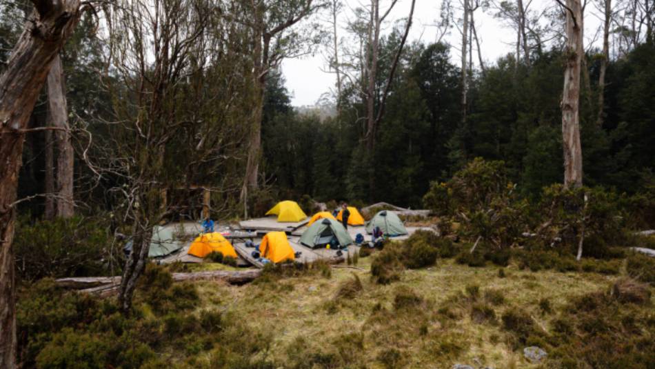 Every campsite is secluded on the Overland Track | Matt Horspool