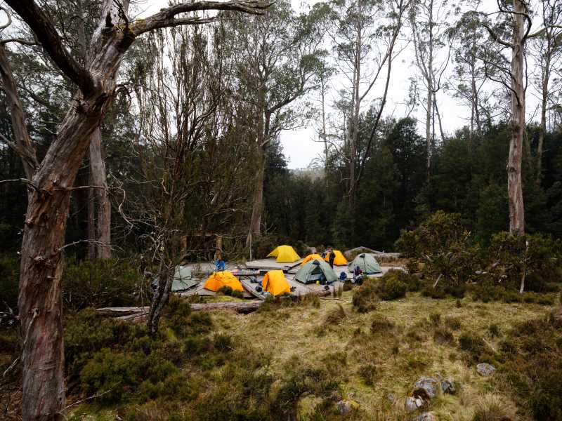 Every campsite is secluded on the Overland Track | Matt Horspool