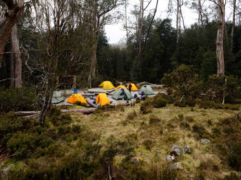 Every campsite is secluded on the Overland Track | Matt Horspool
