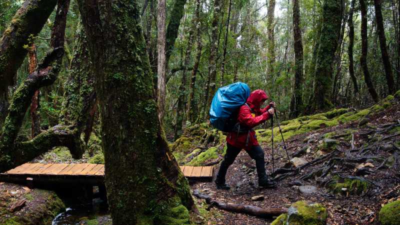 Trekking the legendary Overland Track, Tasmania | Matt Horspool