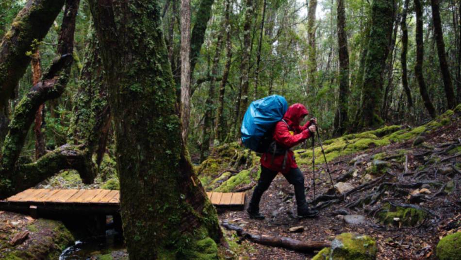 Trekking the legendary Overland Track, Tasmania | Matt Horspool