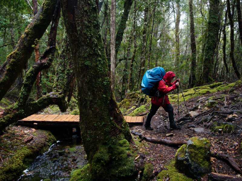 Trekking the legendary Overland Track, Tasmania | Matt Horspool