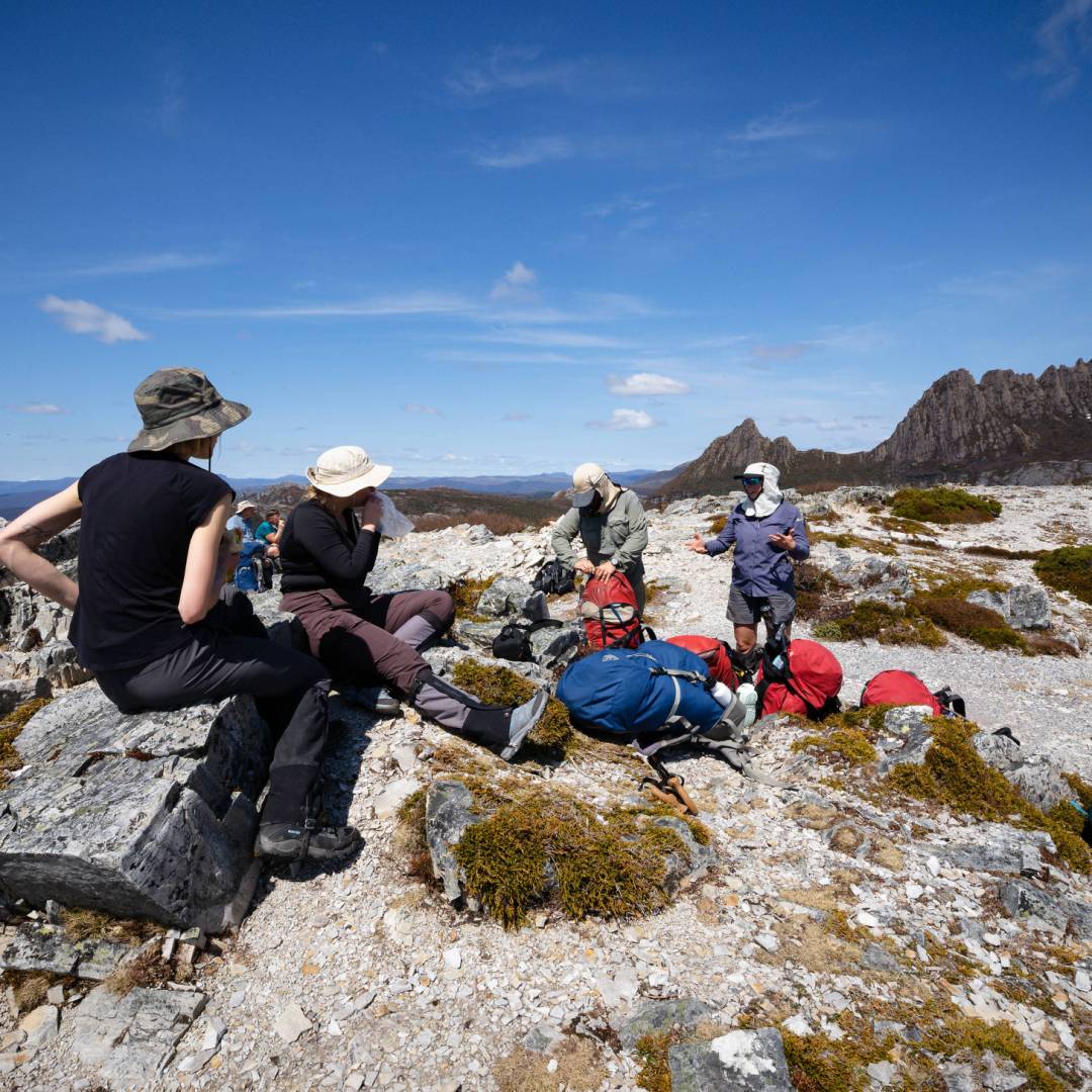 Overland track tour hotsell