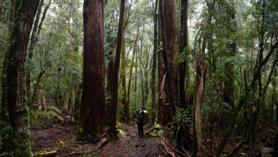 Soaking in the beauty of the Overland Track | Matt Horspool