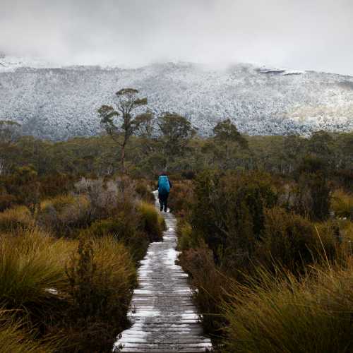 Trekking Tasmania's Overland Track