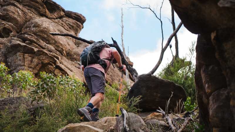 Enjoy newly built well formed trails