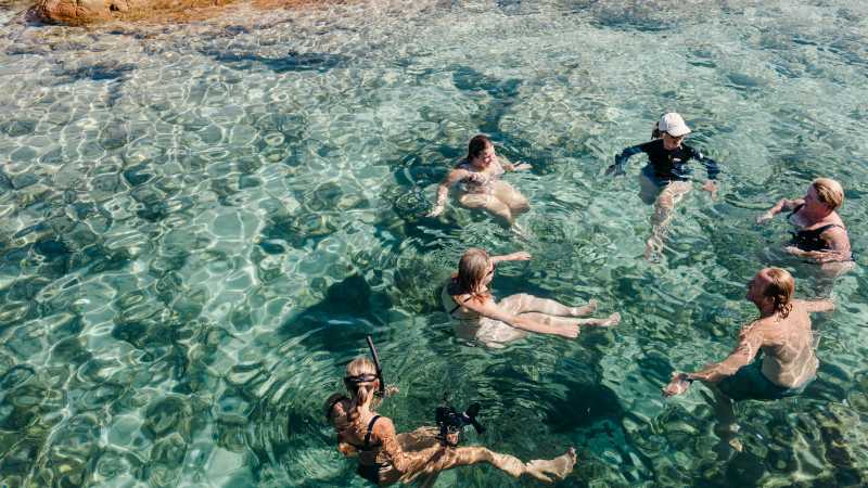 Aquarium swim