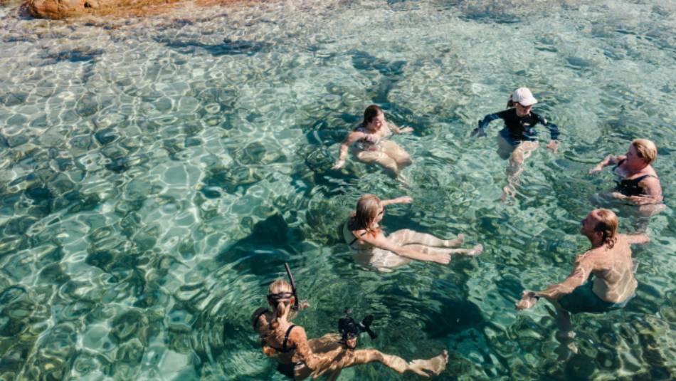 Aquarium swim