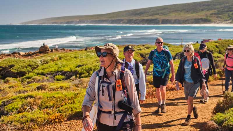 Cape to Cape Track walkers cross coastal heath above the Southern Ocean, Western Australia. - Best of the Cape to Cape and Bibbulmun Track, Australia