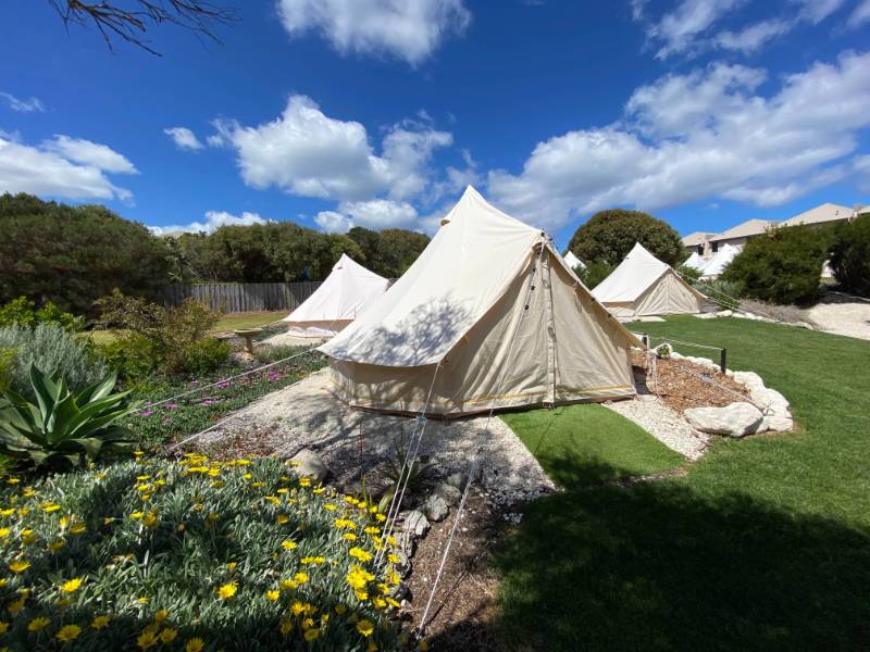 Glamping Tents