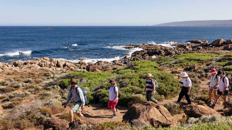 Group hike on Cape to Cape track