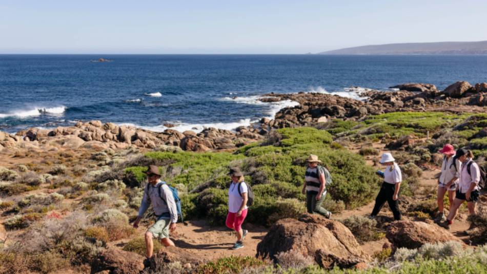 Group hike on Cape to Cape track