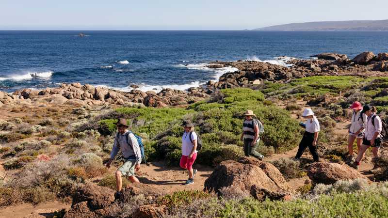 Group hike on Cape to Cape track - Best of the Cape to Cape and Bibbulmun Track, Australia
