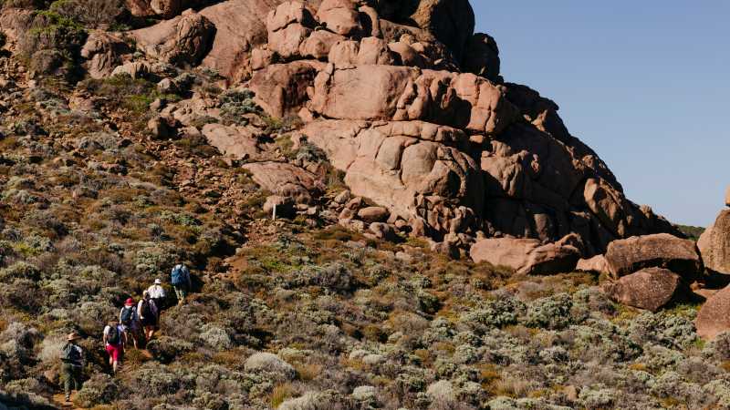 Guided hike on the Cape to Cape track