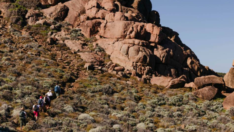 Guided hike on the Cape to Cape track