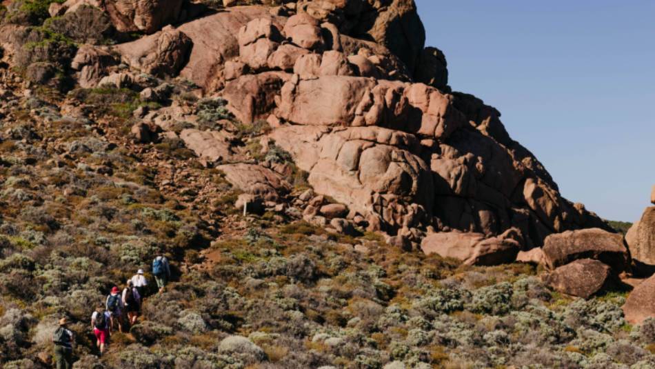 Guided hike on the Cape to Cape track