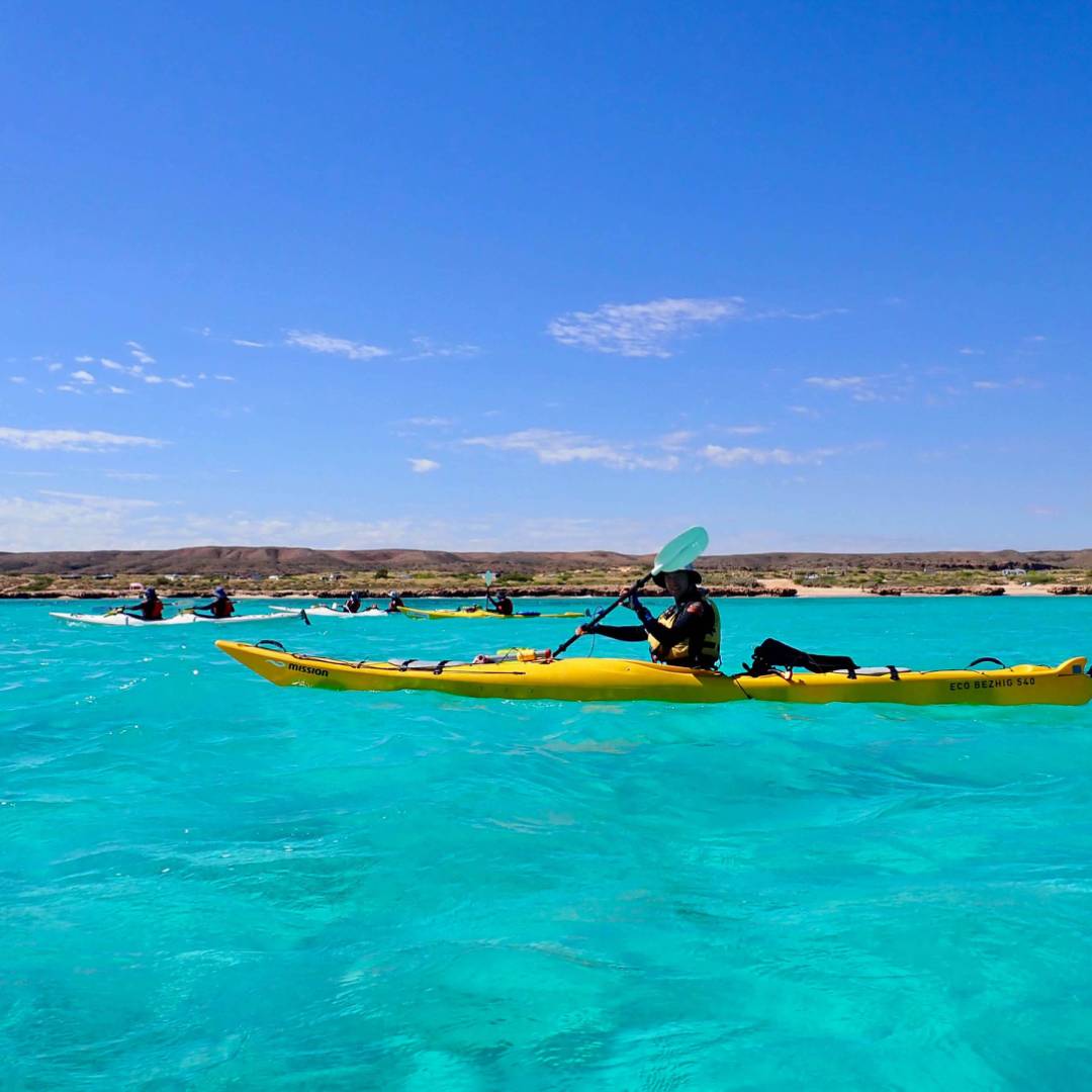 Ningaloo Kayak Expedition Western Australia Adventures