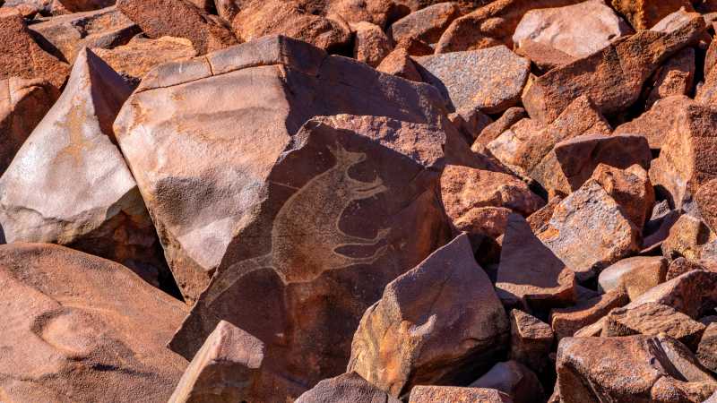 Macropod Petroglyph