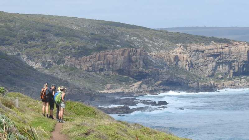 Wilyabrup view on Cape to Cape tour