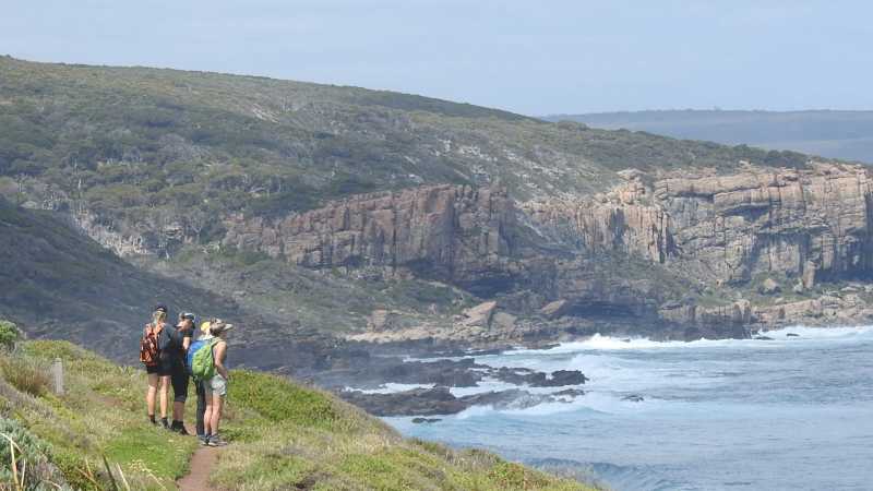 Wilyabrup view on Cape to Cape tour