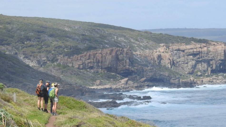 Wilyabrup view on Cape to Cape tour