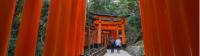 Temple-goers walking through the gates of Fushimi Inari Taisha -  Photo: Felipe Romero Beltran