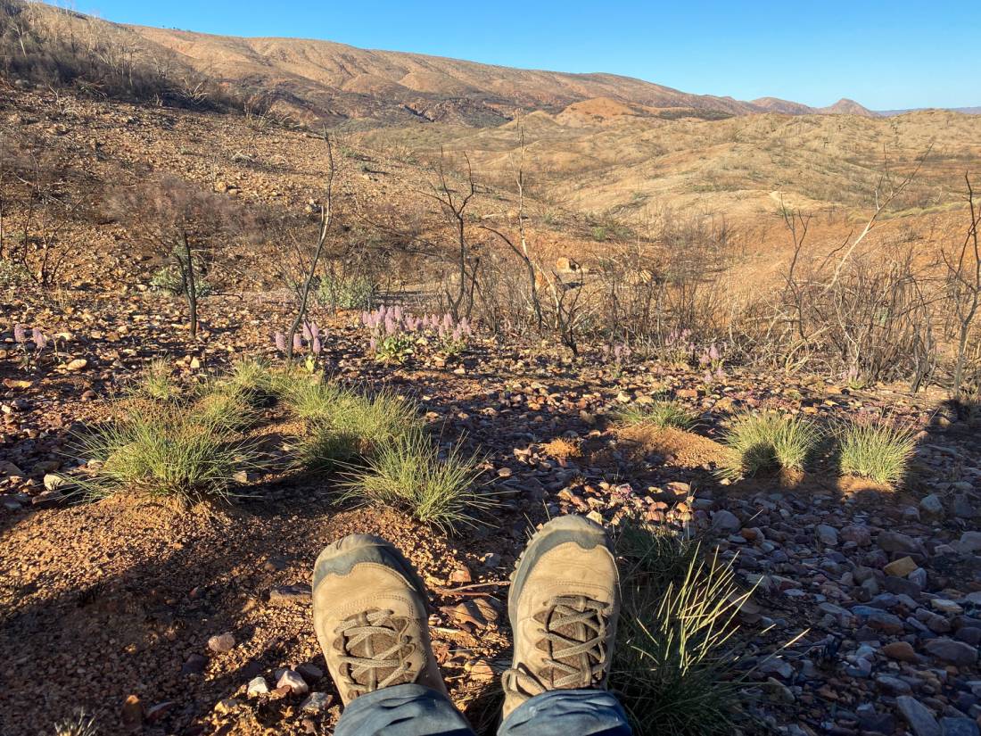 A classic 'feet up' moment on the Larapinta | <i>#cathyfinchphotography</i>