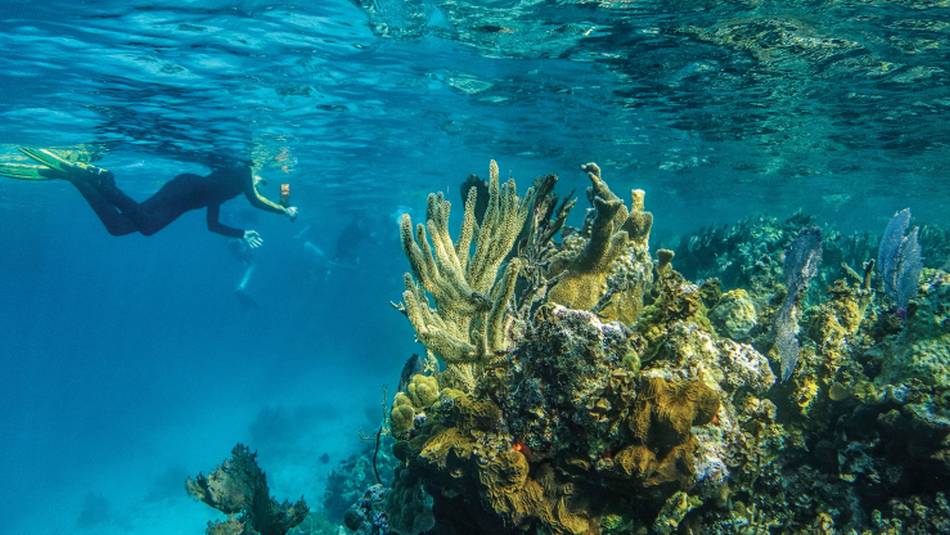 Submerged underwater is the best way to view Lighthouse Reef