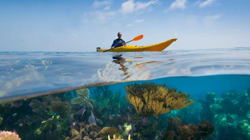 Explore Belize’s offshore reefs by sea kayak