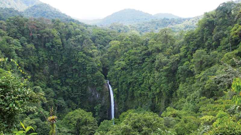 Incredible waterfall scenery, Costa Rica | Sophie Panton