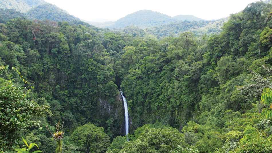 Incredible waterfall scenery, Costa Rica | Sophie Panton