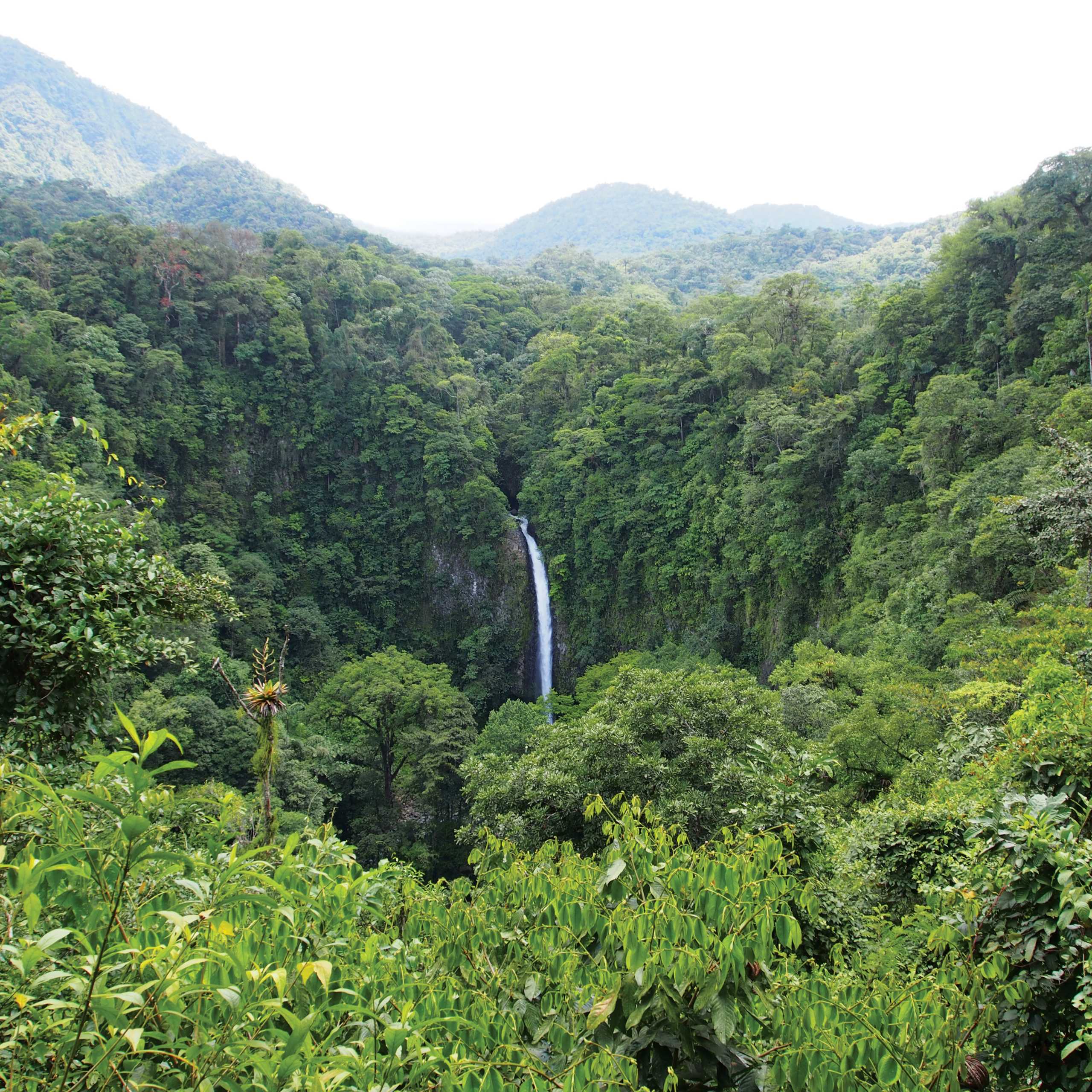 Costa Rica | Adventure: Trekking, Hiking & Tours | World Expeditions