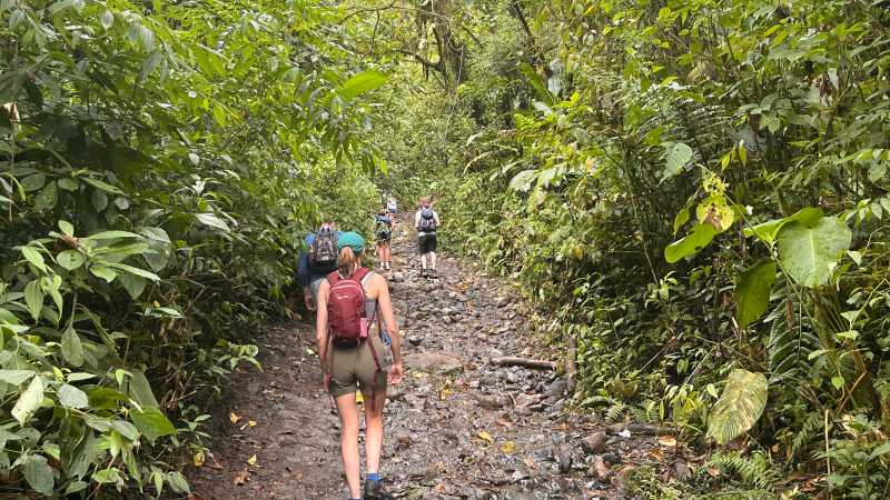Flora and fauna in abundance along the Camino de Costa Rica